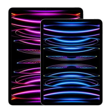 Apple iPad Pro 11"" Wi-Fi + Cellular 2022 512Go gris sidéral - comme neuf